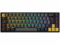 AKKO 3068B Plus Black&Gold Wireless Gaming Tastatur - CS-Switch Jelly Purple