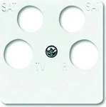 Busch-Jaeger 2CKA001753A8659, Busch-Jaeger 1743/10-04-214 Zentralscheibe 50 x 50 mm