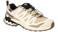 Salomon XA PRO 3D V9 GTX 478176 beige - Sportschuhe f?r Damen