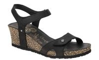 Panama Jack Julia Basics B1 schwarz - Riemchen Sandale f?r Damen