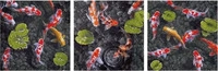Schipper 609470860, Schipper Koi Juwel im Fischteich - Triptychon