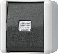 Jung 833-2W, Jung 833-2W Taster, 2-pol. Wechsler, 10 A, IP 44, WG 800 8332W 833-2 W