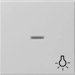 Gira 0674015, Gira 0674015 Alt - Wippe Kontrollf. + Symb. Licht System 55 Grau m