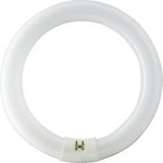 Osram Leuchtrohr G10 Ringform 3200lm 40 Watt/840 &Oslash;406mm, 40 W, G10q, 9000 h, 3200