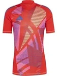 adidas Tiro 24 Pro Torwarttrikot Rot XL