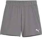 PUMA teamGOAL Short Damen Grau Weiss F13 XS