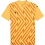 PUMA teamGLORY Trikot Orange Schwarz F61 S