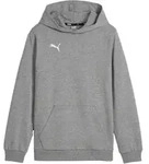 PUMA teamGOAL Casuals Hoody Kids Grau F33 152