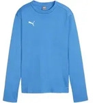 PUMA teamGOAL Training Sweatshirt Damen Blau F01 XS