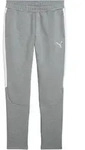 PUMA teamEVOSTRIPE Trainingshose Grau F33 XL