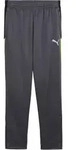 PUMA Trainingshose Kids Grau F08 176