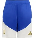 adidas Juventus Turin Short Tiro26 Competition Kids Blau 176