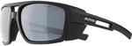 Alpina Skywalsh Gletscherbrille