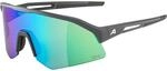 Alpina Sonic HR Q-Lite Sportbrille