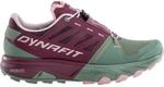 Dynafit Damen Alpine Pro 2 Schuhe
