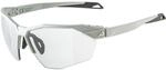 Alpina Twist Six S HR V 1-3 Sportbrille