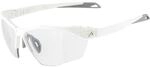 Alpina Twist Six S HR V 1-3 Sportbrille