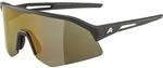 Alpina Sonic HR Q 3 Sportbrille