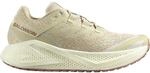 Salomon Herren Aero Glide 3 GRVL Schuhe
