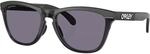 Oakley Frogskins Range XL Sportbrille
