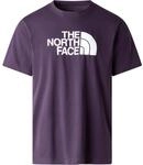 The North Face Herren Evolution Half Dome T-Shirt