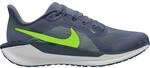 Nike Herren Pegasus 41 Schuhe