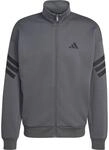 adidas Herren Future Icons Pullover