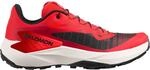 Salomon Herren Genesis Schuhe