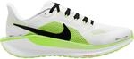 Nike Herren Pegasus 41 Schuhe