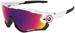 Oakley Jawbreaker Prizm Sportbrille