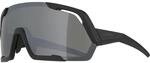 Alpina Rocket Q-Lite Sportbrille