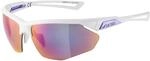 Alpina Nylos HR Sportbrille