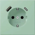 jung LC 1520-15 CA 217, Jung SCHUKO-Steckdose, 16 A 250 V ~, mit USB-Ladeger&auml;t, 1 x