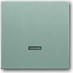 Busch-Jaeger 2CKA006599A2887, Busch-Jaeger Bedienelement f&uuml;r Schalter/Dimmer
