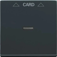 Busch-Jaeger 2CKA001710A3639, Busch-Jaeger Zentralscheibe mit Aufdruck Symbol
