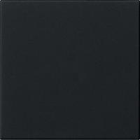 Gira S3000 Bedienaufs. System 55 Schwarz m [5360005], 5360 005