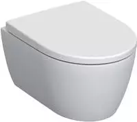 Geberit GE iCon Set Wand-WC mit WC-Sitz, Rimfree Tiefsp&uuml;l-WC, verk. Ausl. 49cm,