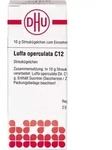 Luffa Operculata C12 10 G