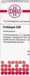 PZN-DE 04214040, DHU-Arzneimittel Crataegus C30 10 G