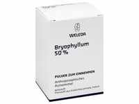Bryophyllum 50% 50 G