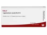 Ligamentum Vocale Gl D 6 10 ML
