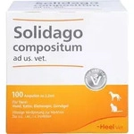 Solidago Comp Ad Us Vet 100 ST