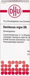 PZN-DE 02890162, DHU-Arzneimittel Sambucus Nigra D 6 10 G