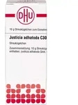 Justicia Adhatoda C30 10 G