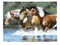 Malen nach Zahlen mit Acrylfarben Pferde, 40 x 30 cm