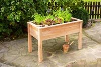 50NRTH Westmann Holz Hochbeet Stelzenhochbeet natur 120x65x75 cm