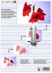 Olympia Laminierfolien OLYMPIA DIN A3, 125&micro;, 50 St&uuml;ck