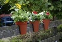KHW Gel&auml;nderblumentopf Flowerclip, 3er Set, terra