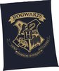Harry Potter Wellsoft-Flauschdecke, Größe: 150 x 200 cm