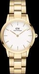 Daniel Wellington DW Uhr Iconic Link Gold 32mm